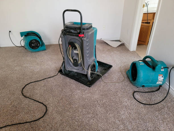 Best Flood restoration services  in Livingston, LA