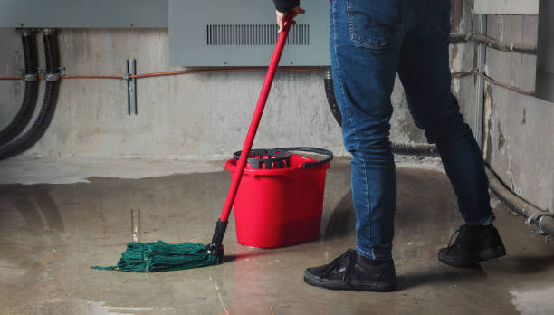 Professional Water damage restoration in Livingston, LA
