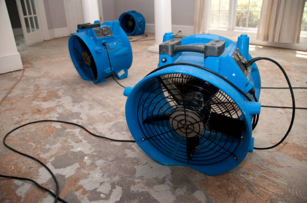Best Commercial water damage restoration  in Livingston, LA
