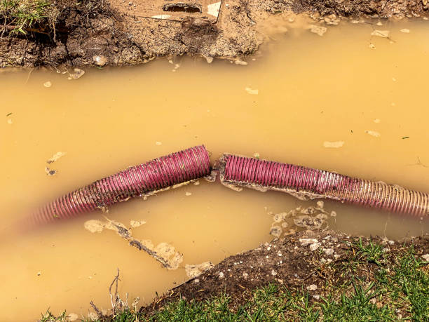 Best Emergency water damage restoration  in Livingston, LA