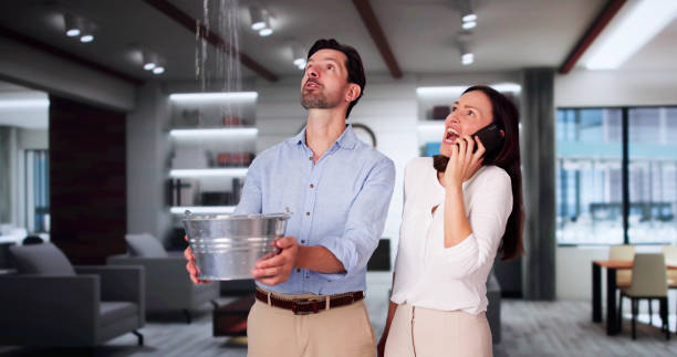 Best Water damage restoration mold remediation  in Livingston, LA